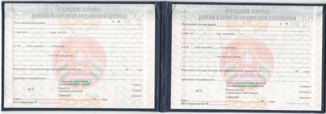 Диплом техникума Беларусь 2002-2024